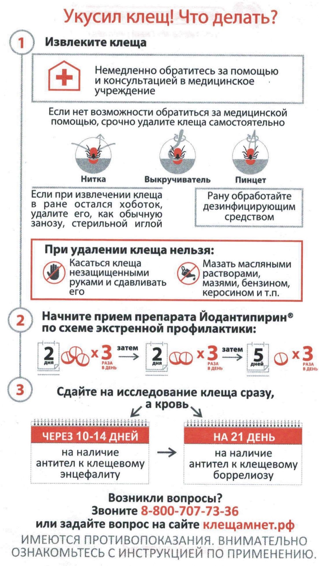 Схема приема доксициклина при укусе клеща для профилактики боррелиоза